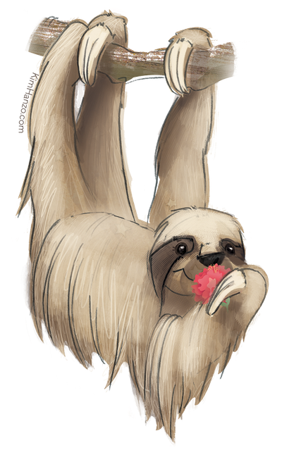 Sloth Sticker